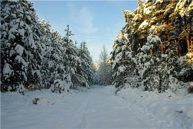 《名望》Steam抢先体验 中世纪PVP生存战斗